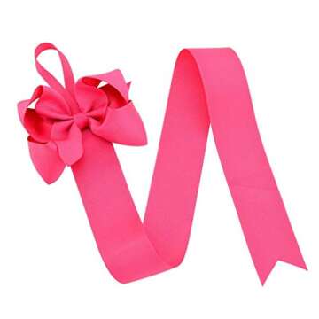 12PCS Colorful Hair Bow Holder Organizer for Girls and Women