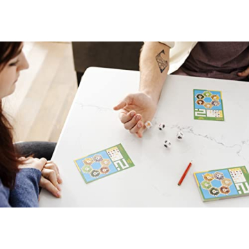 CATAN Dice Game Portable Family Fun for All Ages