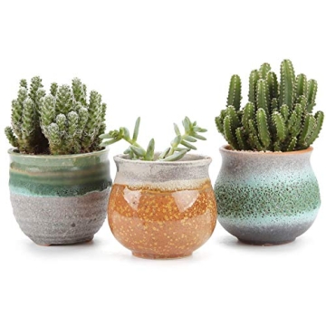 T4U 2.5 Inch Small Succulent Planter Pots with Drainage Hole Set of 3, Sagging Glazed Porcelain Hand...