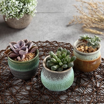 T4U Small Succulent Planter Pots Set of 3 for Gifts