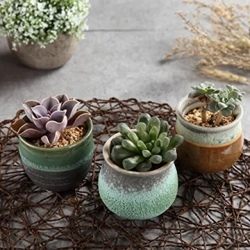 T4U Small Succulent Planter Pots Set of 3 for Gifts