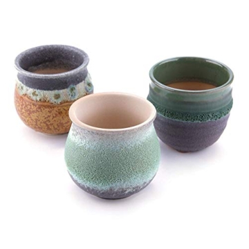 T4U Small Succulent Planter Pots Set of 3 for Gifts