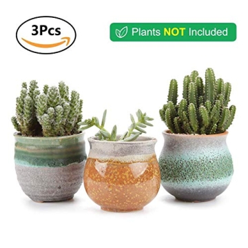 T4U Small Succulent Planter Pots Set of 3 for Gifts