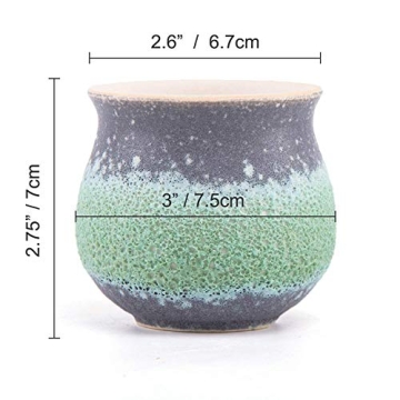 T4U Small Succulent Planter Pots Set of 3 for Gifts