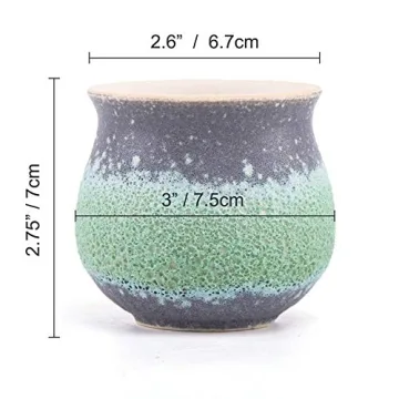 T4U Small Succulent Planter Pots Set of 3 for Gifts