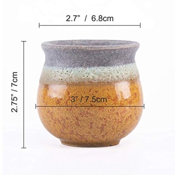 T4U Small Succulent Planter Pots Set of 3 for Gifts