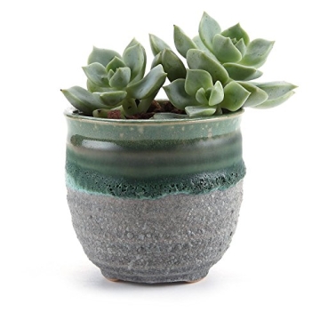 T4U Small Succulent Planter Pots Set of 3 for Gifts