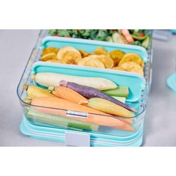 PackIt Mod Lunch Bento Food Storage Container, Steel Gray, Shatterproof Crystal Clear Base, with Leak-resistant Dividers and Lid, Microwavable, Dishwasher Safe, Perfect for Meal Prep