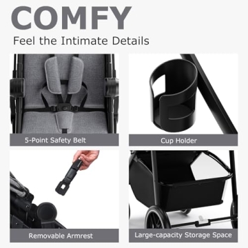 INFANS 2 in 1 Baby Stroller for Infants with Canopy