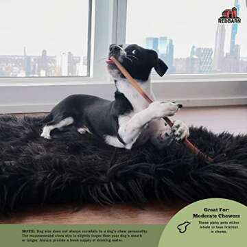 Redbarn 7" Bully Sticks for Dogs 6-Count, Pack of 3