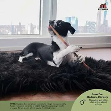 Redbarn 7" Bully Sticks for Dogs 6-Count, Pack of 3