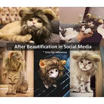 Cat Lion Mane Halloween Costume for Small Pets