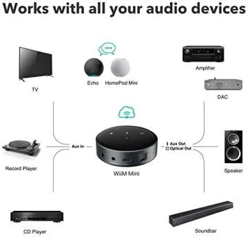 WiiM Mini AirPlay 2 Wireless Audio Streamer, Multiroom Stereo, Preamplifier, Works with Alexa and Siri Voice Assistants, Stream Hi-Res Audio from Spotify, Amazon Music and More