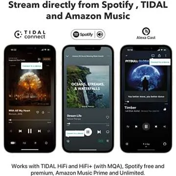 WiiM Mini AirPlay 2 Wireless Audio Streamer, Multiroom Stereo, Preamplifier, Works with Alexa and Siri Voice Assistants, Stream Hi-Res Audio from Spotify, Amazon Music and More