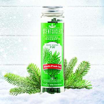 Scentsicles White Winter Fir, 6 Sticks/Bottle (Pack of 3 Bottles)