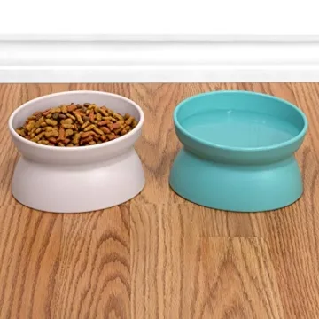 Shop Kitty City Elevated Cat Bowls for Healthy Eating