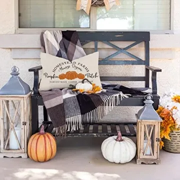 Fall Decor Pillow Cover Pumpkin Patch 12x20 Inch