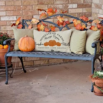 Fall Decor Pillow Cover Pumpkin Patch 12x20 Inch