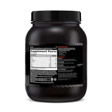 GNC AMP Sustained Protein Blend | Targeted Muscle Building and Exercise Formula | 4 Protein Sources ...
