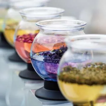 Hario Largo Glass Tea Dripper Stand Set for Tea Enthusiasts