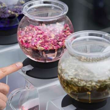 Hario Largo Glass Tea Dripper Stand Set for Tea Enthusiasts