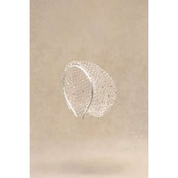 BABEYOND 1920s Flapper Fascinator Mesh Veil Headband Bridal Wedding Tea Party Fascinator Veil with R...