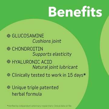 InClover Connectin Natural Hip & Joint Supplement for Dogs with Glucosamine, Chondroitin & Hyaluroni...