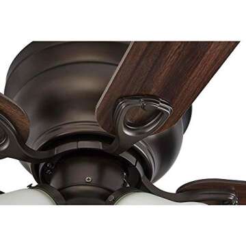 Stylish Birsppy Clarkston II 44" LED Ceiling Fan