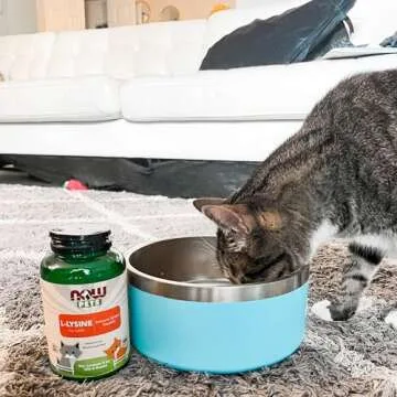 NOW Foods Pet Health, L-Lysine Supplement, Powder, Formulated for Cats, NASC Certified, 8-Ounce