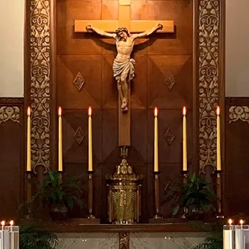 Elegant 12 Pack Beeswax Taper Candles - Eco-Friendly 10Hr Burn