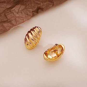 Stylish HESSAWELL Twisted Stud Earrings for Women