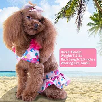 KYEESE Dogs Bikini for Small Dogs Floral Dog Beach Swimsuit Dog Tutu Dresses Dogs Clothes for Summer, Floral, L