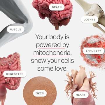 Timeline Mitopure Urolithin A - Clinically Proven Supplement for Healthy Aging and Cellular Renewal - Mitoceutical for Muscle Strength and Longevity - 60 Softgels