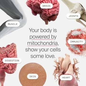 Timeline Mitopure Urolithin A - Clinically Proven Supplement for Healthy Aging and Cellular Renewal - Mitoceutical for Muscle Strength and Longevity - 60 Softgels