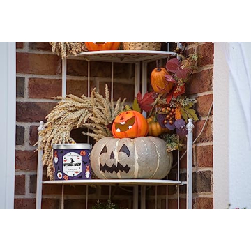 Pumpkin Scented Halloween Candle 3-Wick 14oz Natural Soy Wax