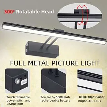 FUNCHDAY Picture Light - Remote Control Art Lighting