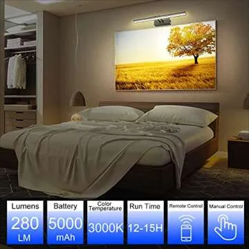 FUNCHDAY Picture Light - Remote Control Art Lighting