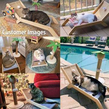 PETKARAY Beach Chair Cat Hammock, Elevated Cat Beds for Indoor Cats, Original Cozy Cat Lounger with Sisal Scratcher and Toy Ball