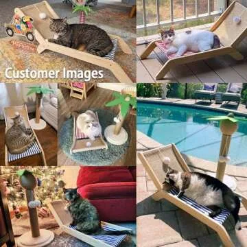 PETKARAY Beach Chair Cat Hammock, Elevated Cat Beds for Indoor Cats, Original Cozy Cat Lounger with Sisal Scratcher and Toy Ball