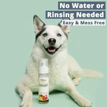 Paw Choice Dry Shampoo - Waterless Foam for Dogs