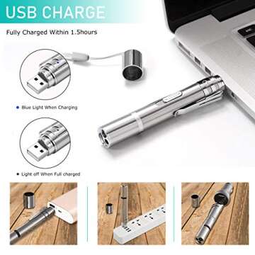 Cat Toys Indoor Outdoor, Cat Toy for Cats Dogs, Indoor and Outdoor Kitten Toys