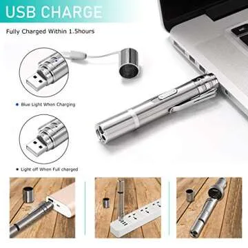 Cat Toys Indoor Outdoor, Cat Toy for Cats Dogs, Indoor and Outdoor Kitten Toys