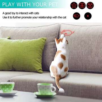 Cat Toys Indoor Outdoor, Cat Toy for Cats Dogs, Indoor and Outdoor Kitten Toys