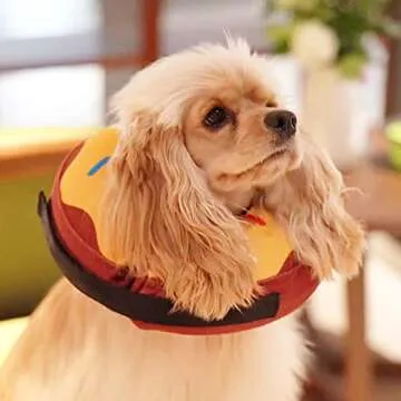 Protective Inflatable Dog Collar for Safe Recovery