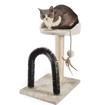 PEEKAB Cat Scratching Post with Tower Tree and Arch Self Groomer Massager Brush Kitty Ball Toys for Kittens and Small Cats