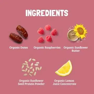 Skout Organic Raspberry Rush Kids Snack Bars (18 Pack) | Organic Kids Snack Bars | Plant-Based Nutrition, No Refined Sugar | Vegan | Gluten, Dairy, Grain, Peanut, Tree Nut & Soy Free