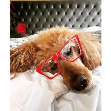 FEISEDY Cat Eye Reading Glasses Stylish Blue Light Blocker