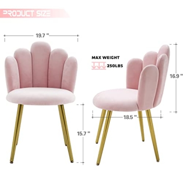 Stylish BOWTHY Velvet Vanity Chair with Gold Legs