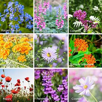 Wildflower Seeds Bulk, 2 Oz. 80,000+ Seeds, Butterfly and Hummingbird Seed Mix, 23 Non-GMO Varieties of Butterfly Garden Seeds for Planting - Hummingbird Flower Seeds, Butterfly Flower Seeds