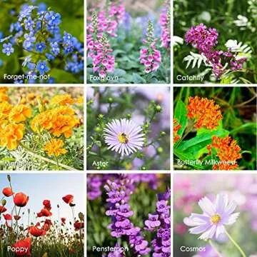 Wildflower Seeds Bulk, 2 Oz. 80,000+ Seeds, Butterfly and Hummingbird Seed Mix, 23 Non-GMO Varieties of Butterfly Garden Seeds for Planting - Hummingbird Flower Seeds, Butterfly Flower Seeds